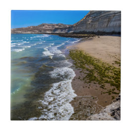 ビーチでプエルトピラミデス，アルゼンチン タイル