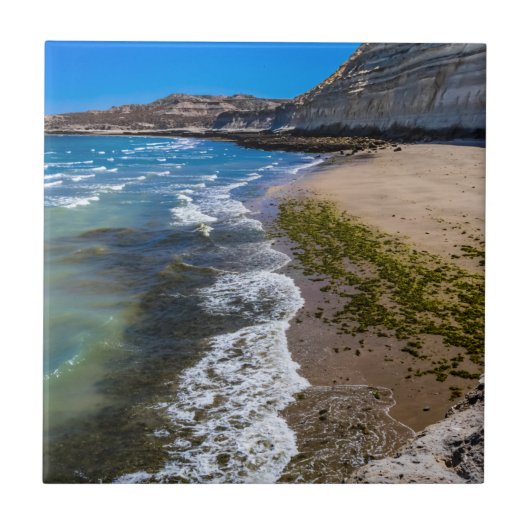 ビーチでプエルトピラミデス,アルゼンチン タイル (正面)