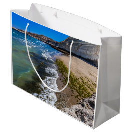 ビーチでプエルトピラミデス，アルゼンチン ラージペーパーバッグ