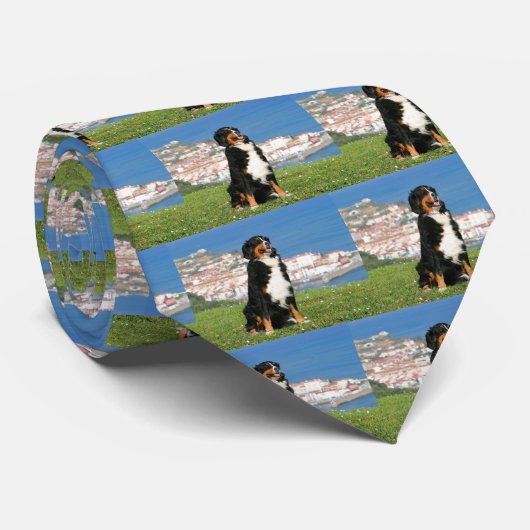 ビーチでポーズをとるベルネーゼの牛犬 ネクタイ (ロール)