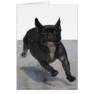 ビーチで走ります、パリMerille