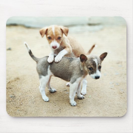 ビーチで遊ぶかわいい子犬たち マウスパッド (正面)