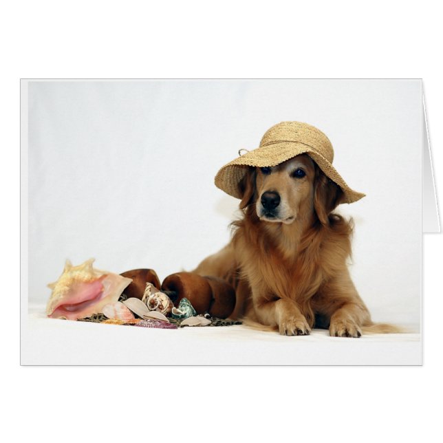 ビーチで金 (正面横)