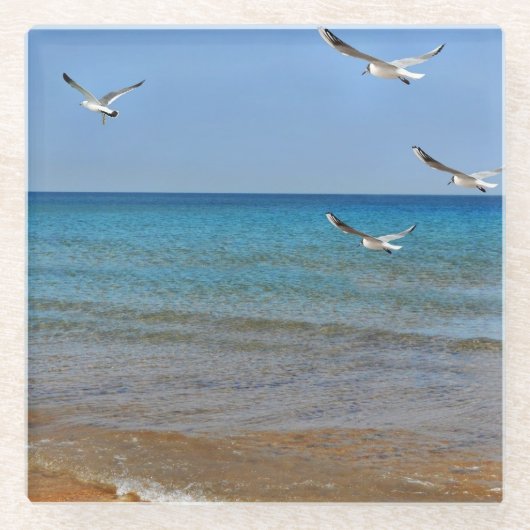 ビーチとシーグルス ガラスコースター (正面)