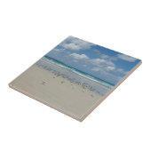 ビーチとシーグル タイル (側面)