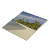 ビーチとヤシの木、プランテーションアイランドリゾート タイル (側面)