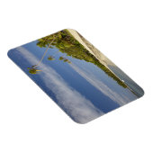 ビーチとヤシの木、プランテーションアイランドリゾート マグネット (右側)