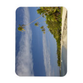 ビーチとヤシの木、プランテーションアイランドリゾート マグネット (縦)