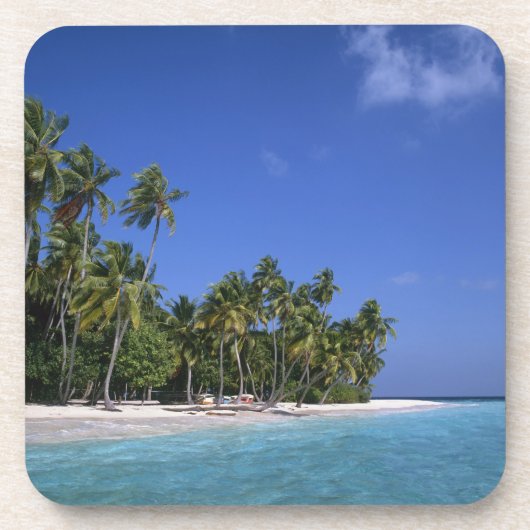 ビーチとヤシの木、モルディブ コースター (正面)