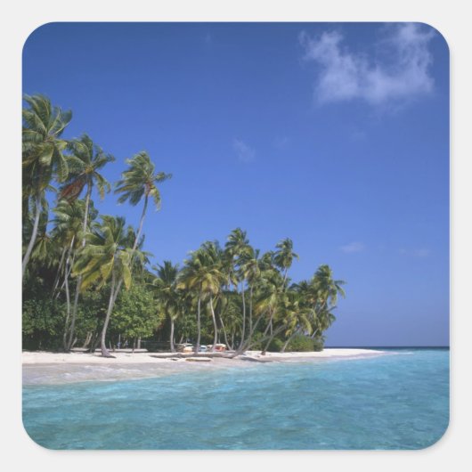 ビーチとヤシの木，モルディブ スクエアシール (正面)