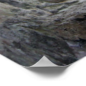 ビーチと木を構成する石窓 ポスター (角)