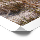 ビーチと海 ポスター (角)