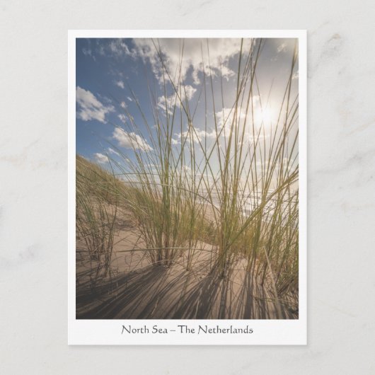 ビーチとSunの自然写真 ポストカード (正面)