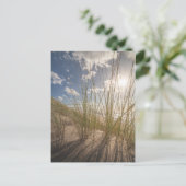 ビーチとSun自然写真 ポストカード (スタンド正面)