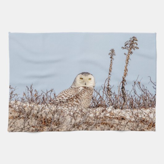 ビーチに坐っているSnowyのフクロウ キッチンタオル (横)