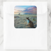 ビーチに座る猫 スクエアシール (バッグ)