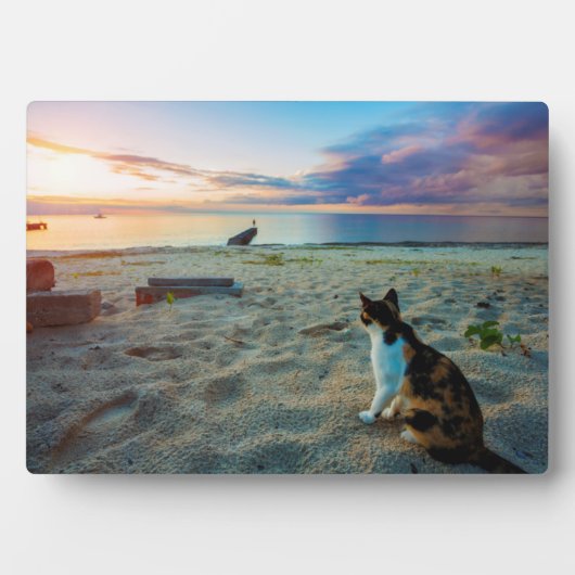 ビーチに座る猫 フォトプラーク (正面)
