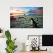 ビーチに座る猫 ポスター (ホームオフィス)