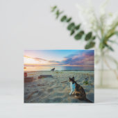 ビーチに座る猫 ポストカード (スタンド正面)