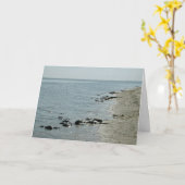 ビーチに沿うカブトガニ カード (黄色い花)
