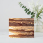 ビーチに沿ってすべっている海カモメ ポストカード (スタンド正面)