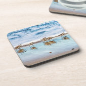 ビーチに沿って走っているシギ コースター (左側)