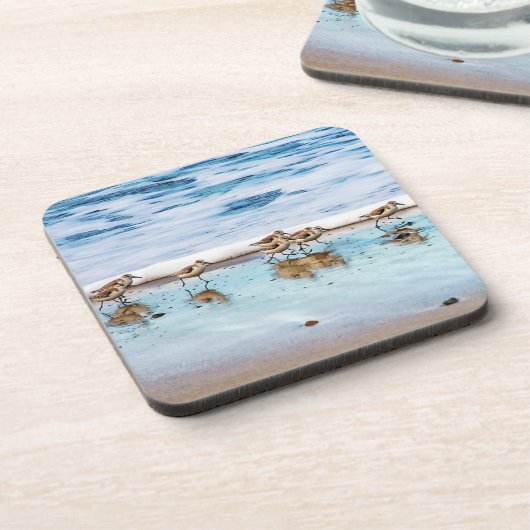 ビーチに沿って走っているシギ コースター (左側)