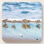 ビーチに沿って走っているシギ コースター (正面)