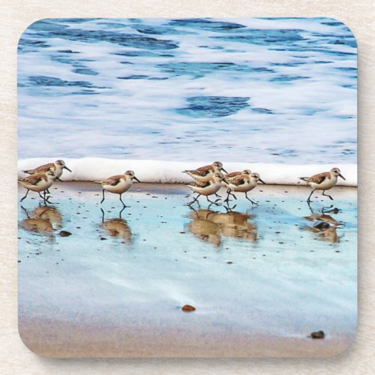 ビーチに沿って走っているシギ コースター (正面)