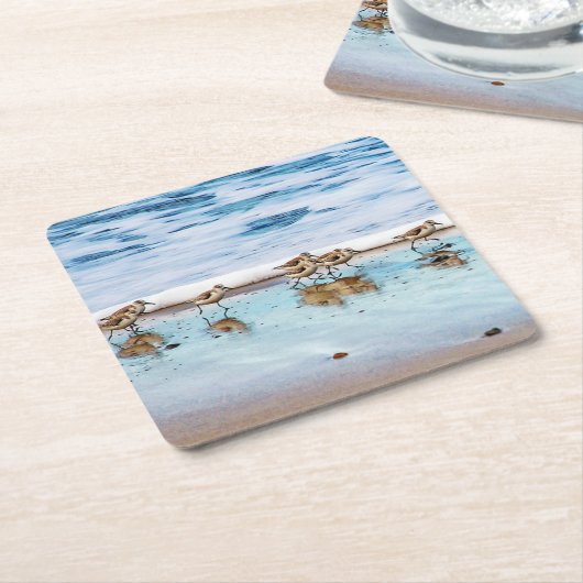 ビーチに沿って走っているシギ スクエアペーパーコースター (アングル)