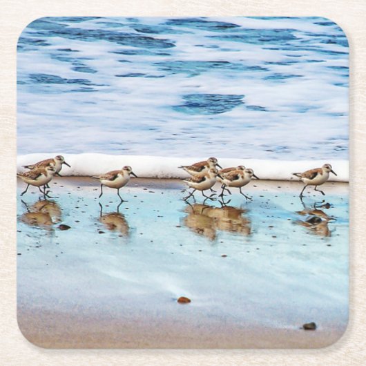 ビーチに沿って走っているシギ スクエアペーパーコースター (正面)