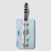 ビーチに沿って走っているシギ ラゲッジタグ (正面縦)