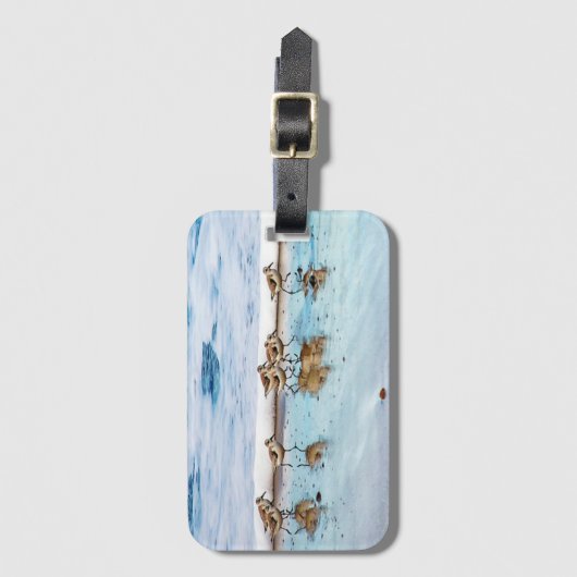 ビーチに沿って走っているシギ ラゲッジタグ (正面縦)