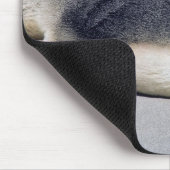 ビーチに眠る若いアザラシ – オーストラリア マウスパッド (コーナー)