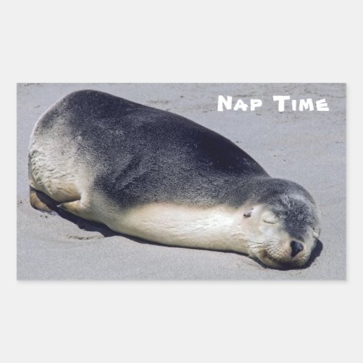 ビーチに眠る若いアザラシ – オーストラリア 長方形シール (正面)