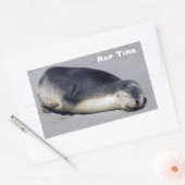 ビーチに眠る若いアザラシ – オーストラリア 長方形シール (封筒)