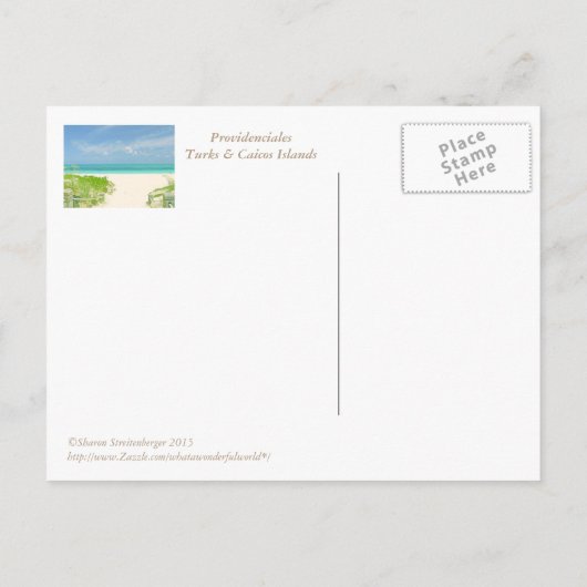 「ビーチに行こう/タークス&カイコスドリーム」 ポストカード (裏面)