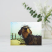 ビーチのかわいいwiredhairのダックスフント ポストカード (スタンド正面)