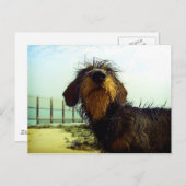 ビーチのかわいいwiredhairのダックスフント ポストカード (正面/裏面)