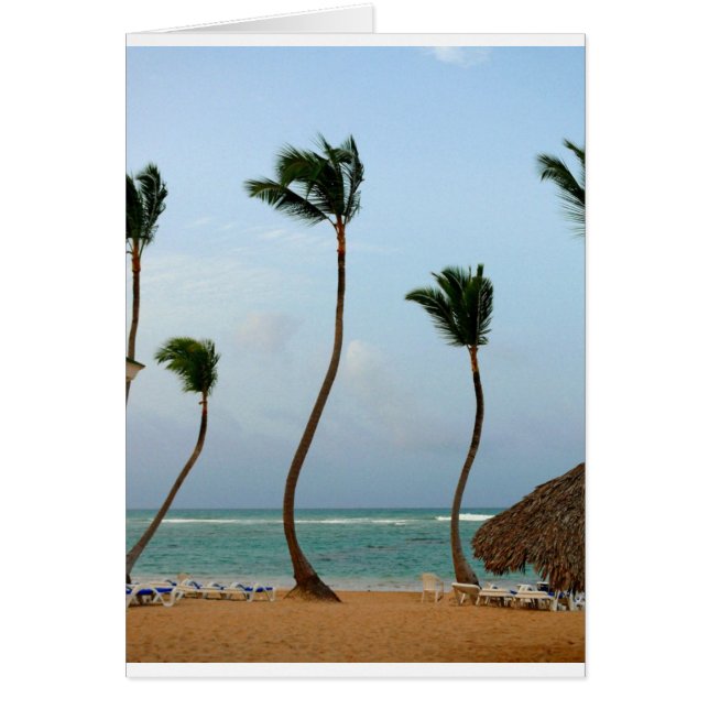 ビーチのやし (正面)