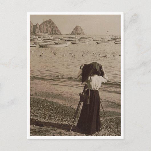 ビーチのカタリナ島、アヴァロン湾。 ポストカード (正面)