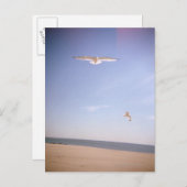 ビーチのカモメの夢飛んでいるのような像 ポストカード (正面/裏面)