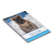 ビーチのクオッカ、ブルー・ボイズ ノートブック (右側)