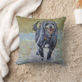 ビーチのクッションのラーチャー クッション (ブランケット)