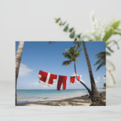 ビーチのサンタの洗濯 シーズンカード (スタンド正面)