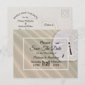 ビーチのサンド・ダラーがテーマの結婚式　保存日付のお知らせ 案内ポストカード (正面/裏面)