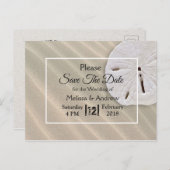 ビーチのサンド・ダラーにテーマを当てた結婚式のSave the Date 案内ポストカード (正面/裏面)