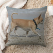 ビーチのチワワ クッション (ブランケット)