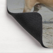 ビーチのチワワ マウスパッド (コーナー)