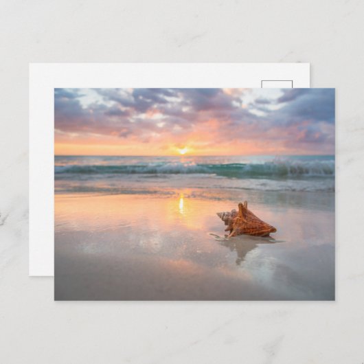 ビーチのハマグリの貝殻 | ジャマイカ ポストカード (正面/裏面)